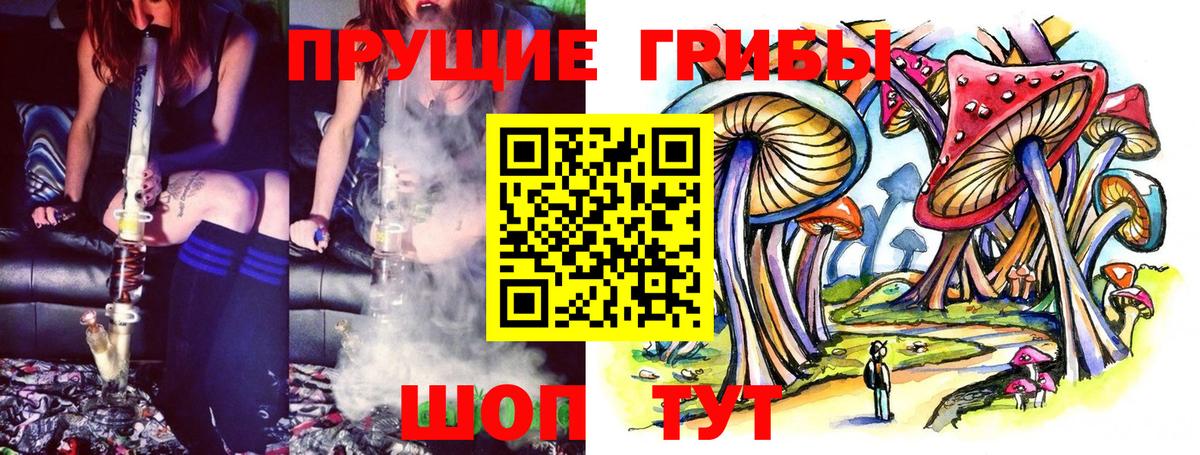 Дзержинский  Галлюциногенные грибы прущие грибы  Вход с VPN 