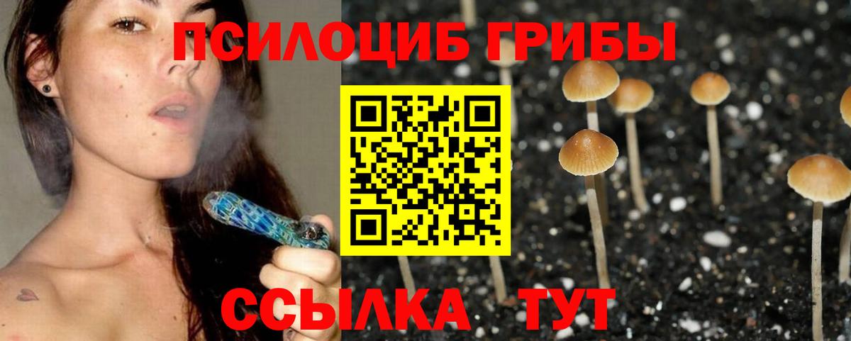 Псилоцибиновые грибы мухоморы Дзержинский